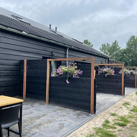 Cozy Holiday Home In Vrouwenpolder Close To The Beach Buitenkant foto