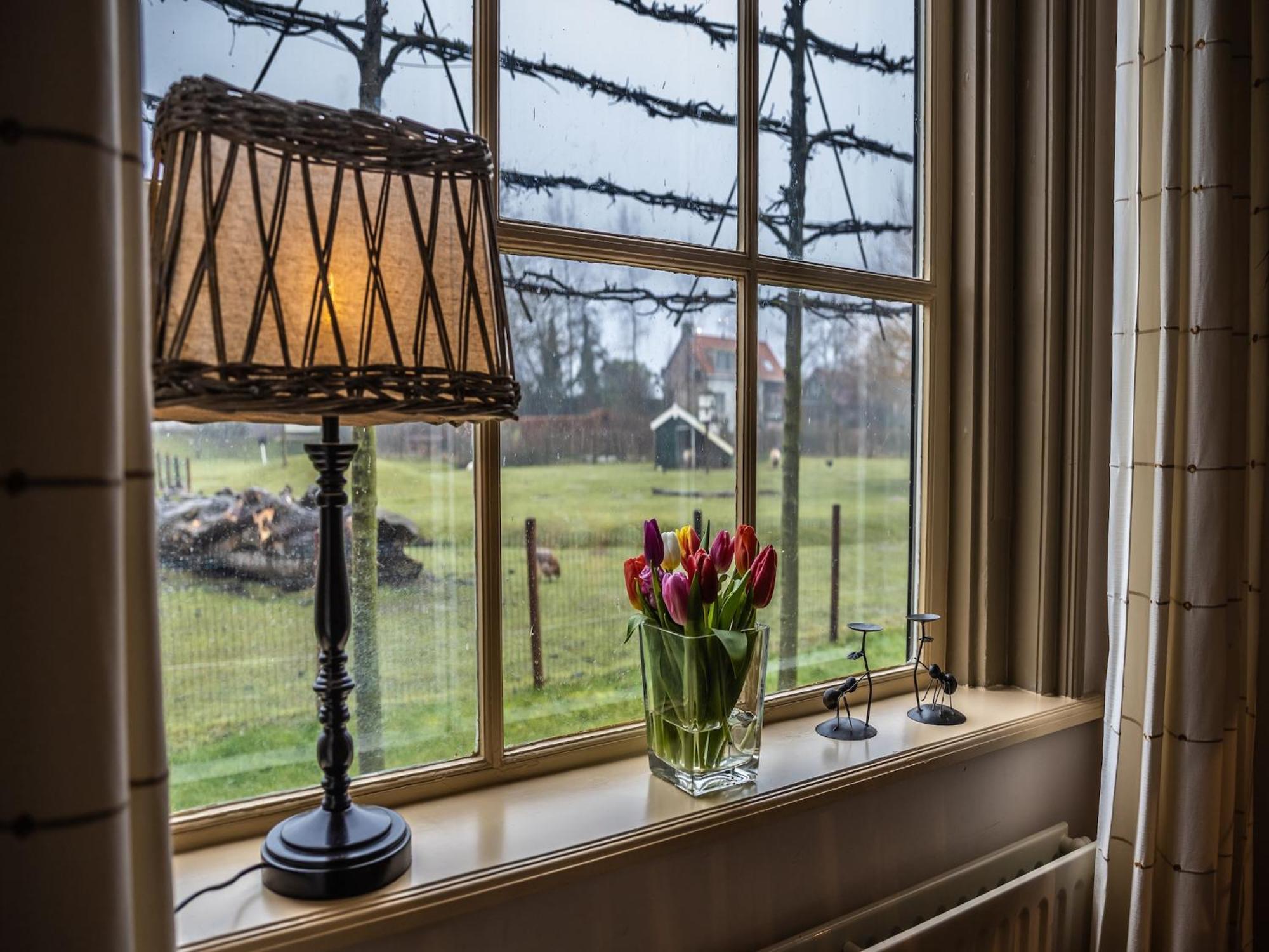 Cozy Holiday Home In Vrouwenpolder Close To The Beach Buitenkant foto